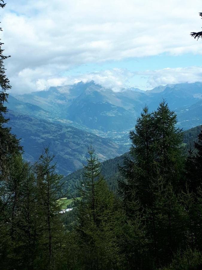 Confortable Face A La Montagne Apartment